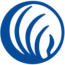 NAMI Delaware logo icon