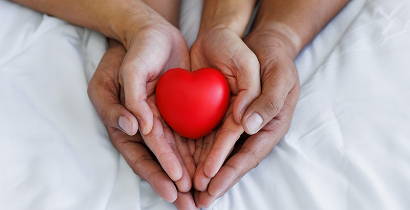 two people with hands cupped together holding a small red heart