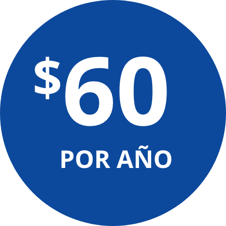 sixty dollars por año