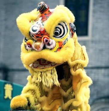 Lion Dance - NAMI