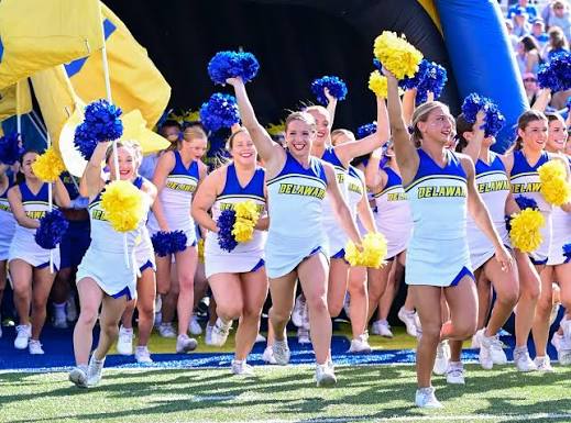 UD Cheer Squad - NAMI